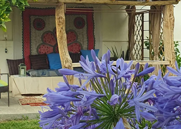 Casinha D'alice Et Serge 3* Cela Velha