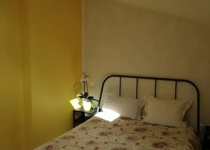 Alojamento de Acomodação e Pequeno-almoço Casinha D'alice Et Serge